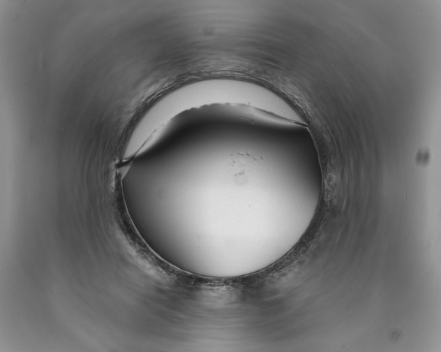 X0000089950454200707271844