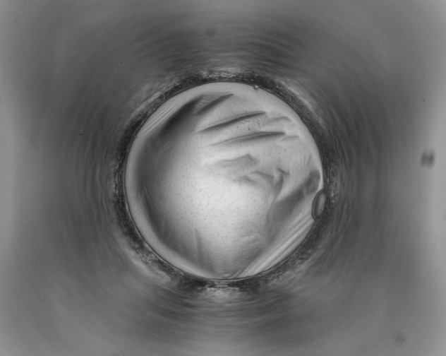 X0000089950455200707271844