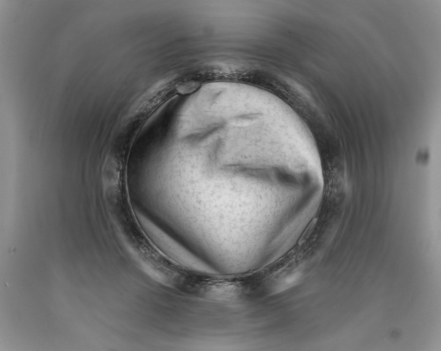 X0000089950456200707271844