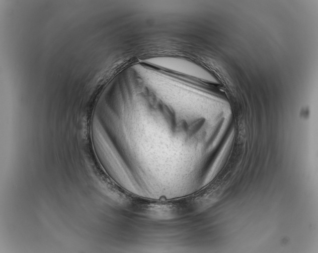 X0000089950457200707271844