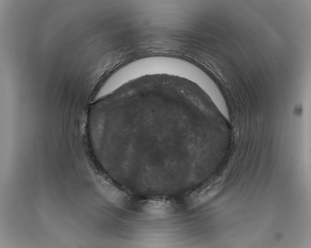 X0000089950458200707271844