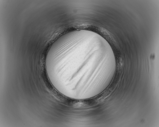 X0000089950460200707271844