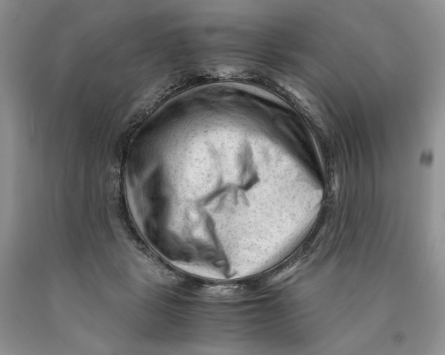 X0000089950461200707271844