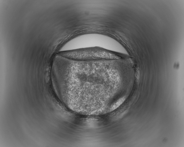 X0000089950462200707271844