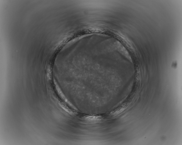 X0000089950465200707271844