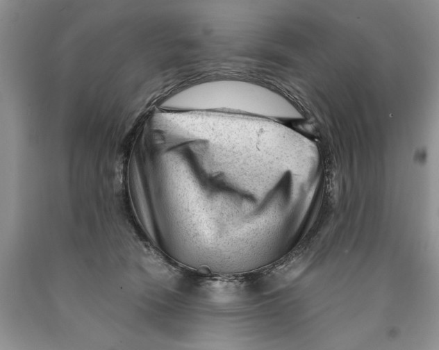 X0000089950466200707271844