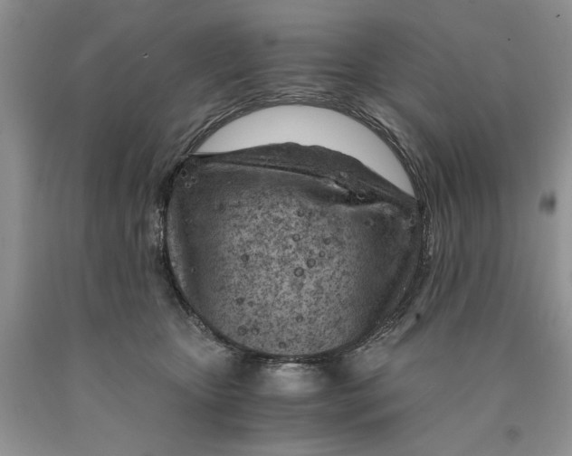 X0000089950467200707271844