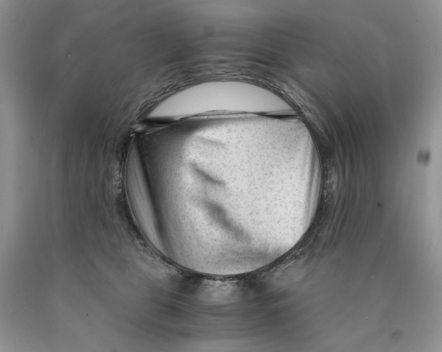 X0000089950469200707271844