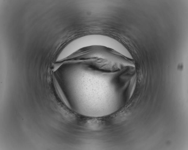 X0000089950470200707271844