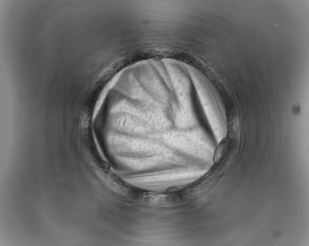 X0000089950472200707271844