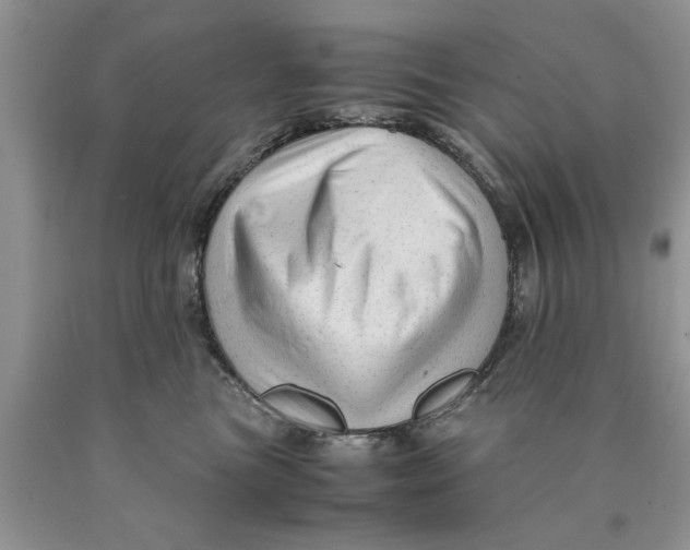 X0000089950473200707271844
