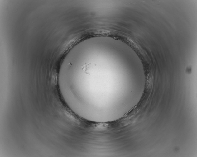 X0000089950474200707271844