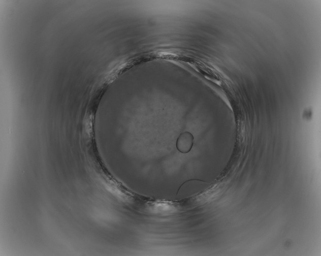 X0000089950475200707271844