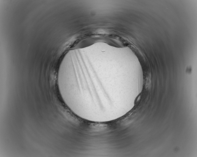 X0000089950476200707271844
