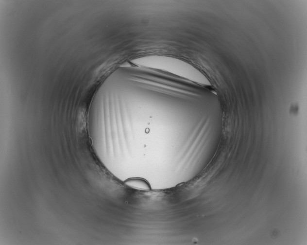 X0000089950478200707271844