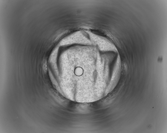 X0000089950479200707271844