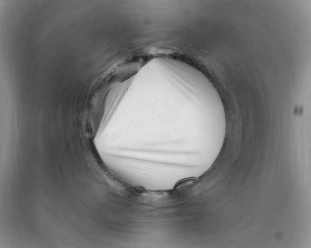 X0000089950480200707271844