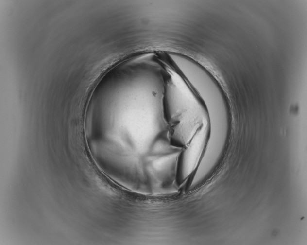 X0000089950481200707271843