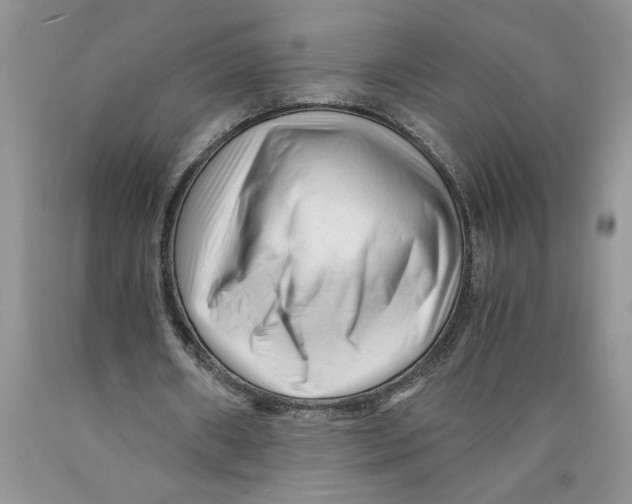 X0000089950482200707271843