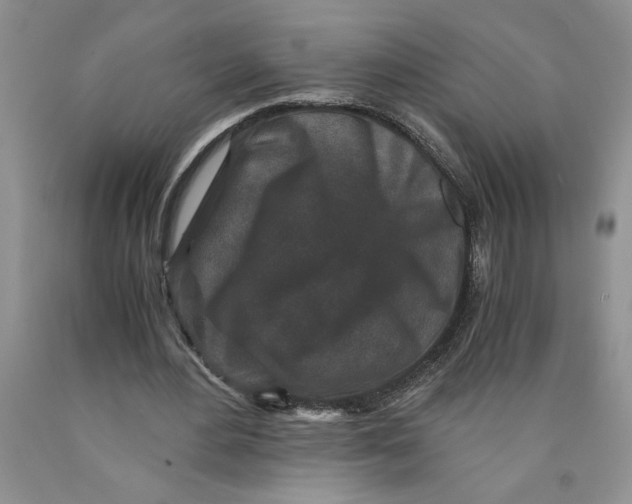 X0000089950484200707271843