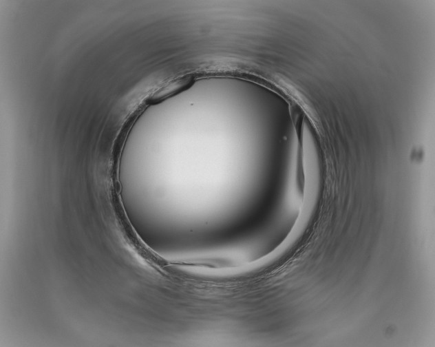 X0000089950485200707271843