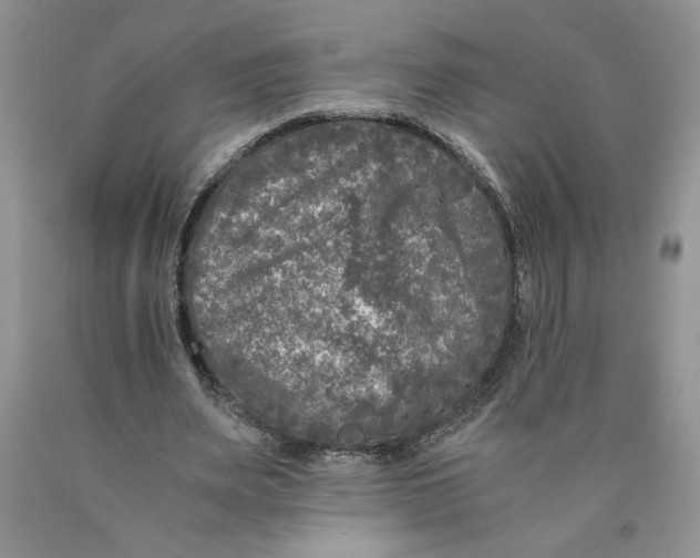 X0000089950487200707271843