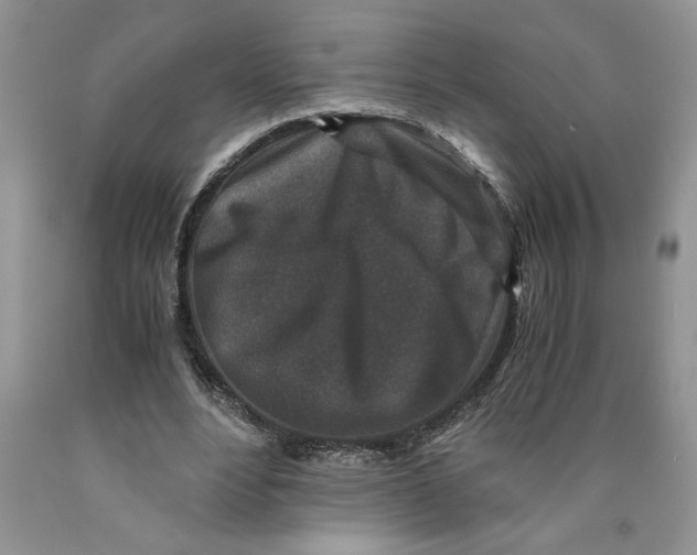 X0000089950488200707271843