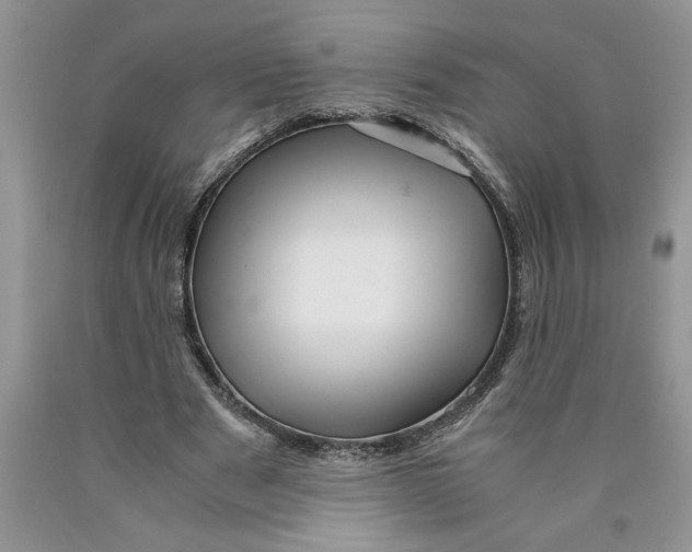 X0000089950489200707271843