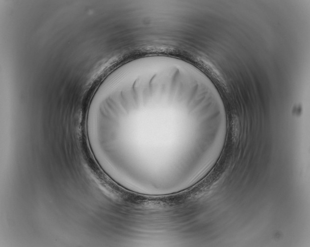X0000089950490200707271843