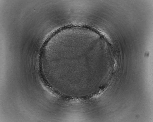 X0000089950492200707271843