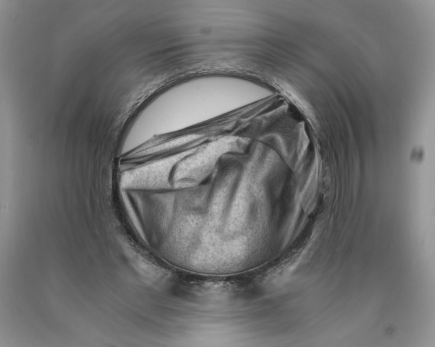 X0000089950493200707271843