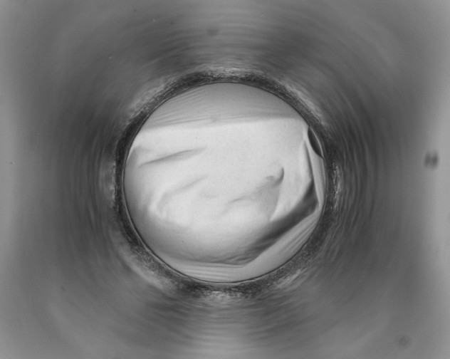 X0000089950494200707271843