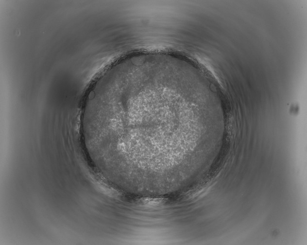 X0000089950495200707271843