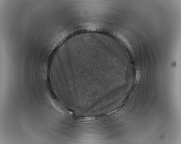 X0000089950496200707271843