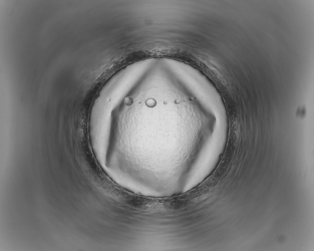 X0000089950499200707271843