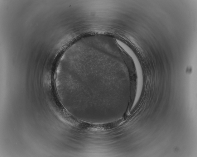 X0000089950500200707271843