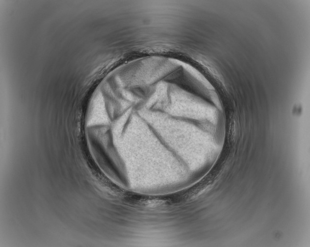 X0000089950501200707271843