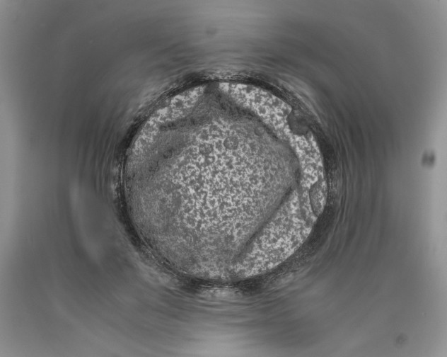 X0000089950503200707271843