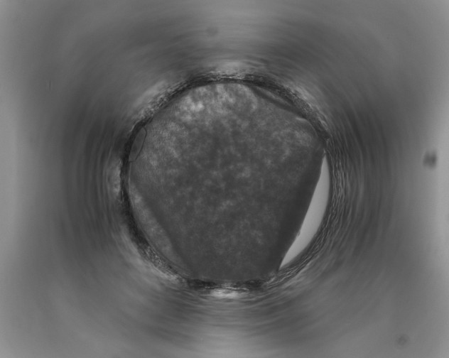 X0000089950504200707271843