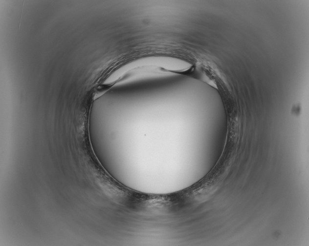 X0000089950505200707271843