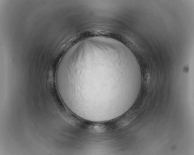 X0000089950506200707271843
