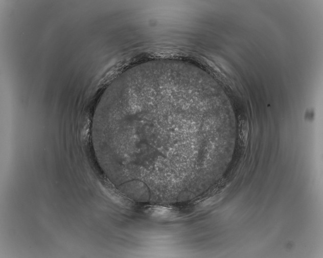 X0000089950507200707271843
