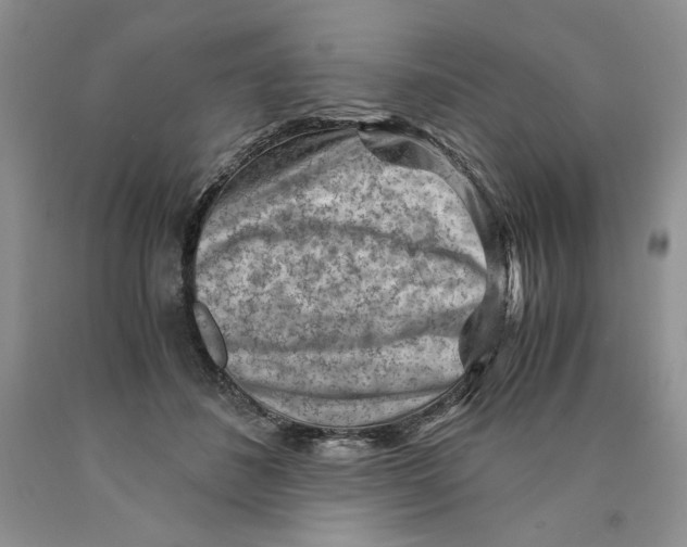 X0000089950508200707271843