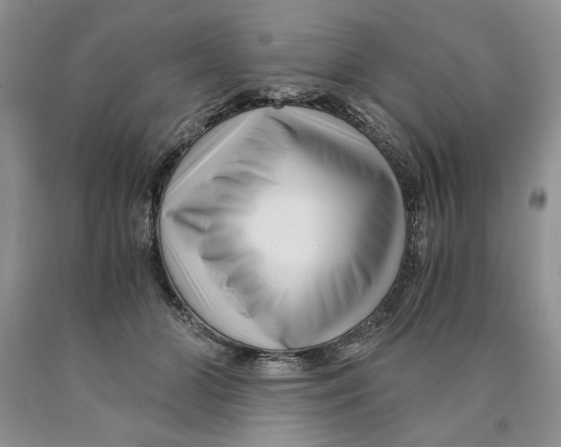 X0000089950510200707271843