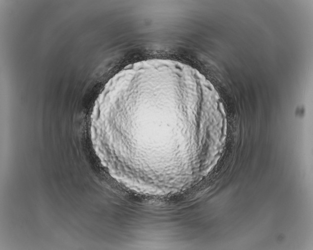 X0000089950511200707271843