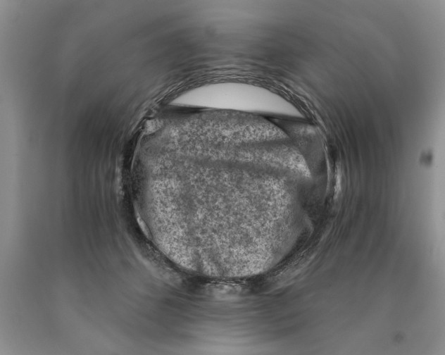 X0000089950512200707271843