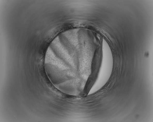 X0000089950513200707271843