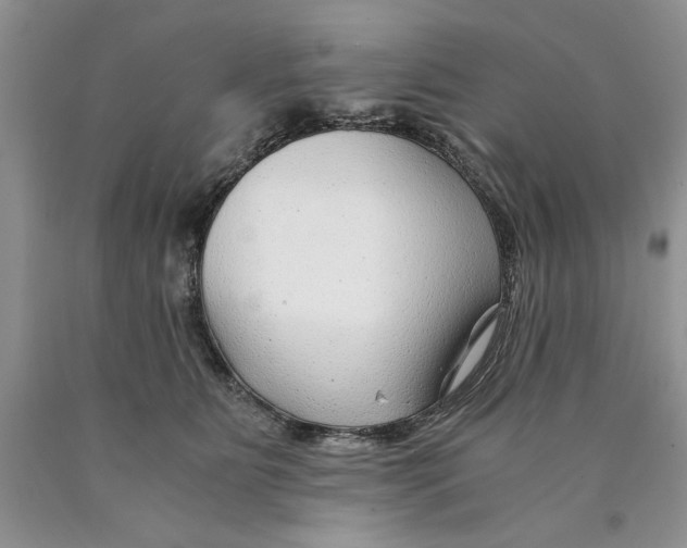 X0000089950515200707271843