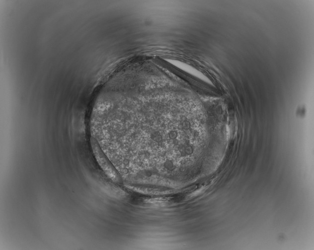X0000089950516200707271843
