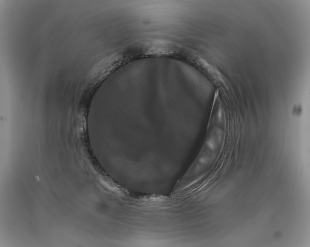 X0000089950517200707271843
